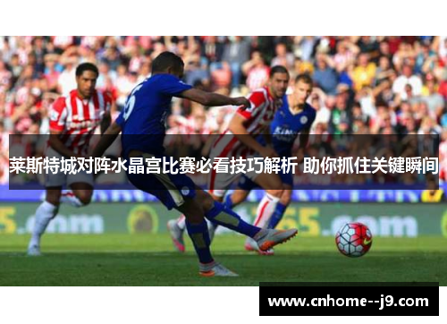 莱斯特城对阵水晶宫比赛必看技巧解析 助你抓住关键瞬间