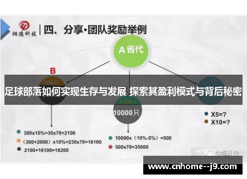 足球部落如何实现生存与发展 探索其盈利模式与背后秘密