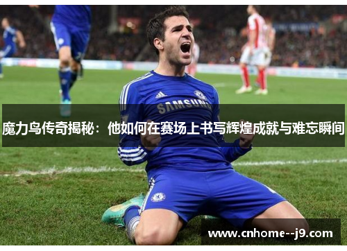 魔力鸟传奇揭秘：他如何在赛场上书写辉煌成就与难忘瞬间